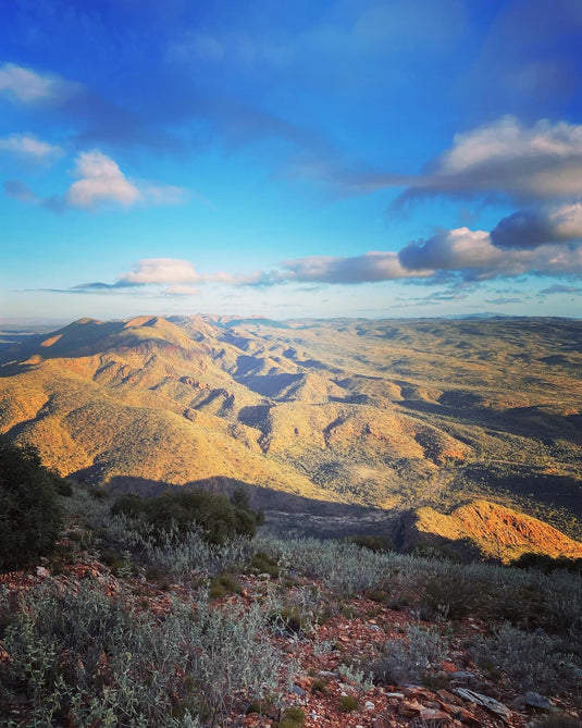 Larapinta Trail Transfers & Packages