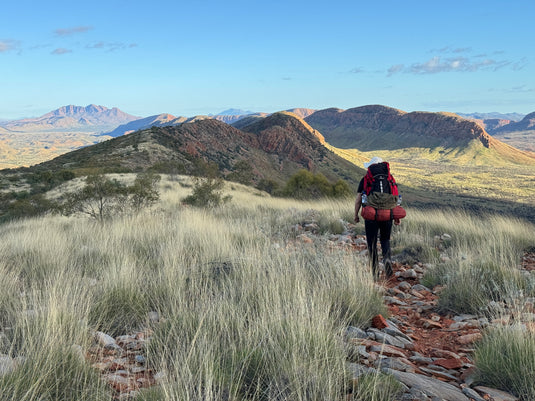 Experience Larapinta