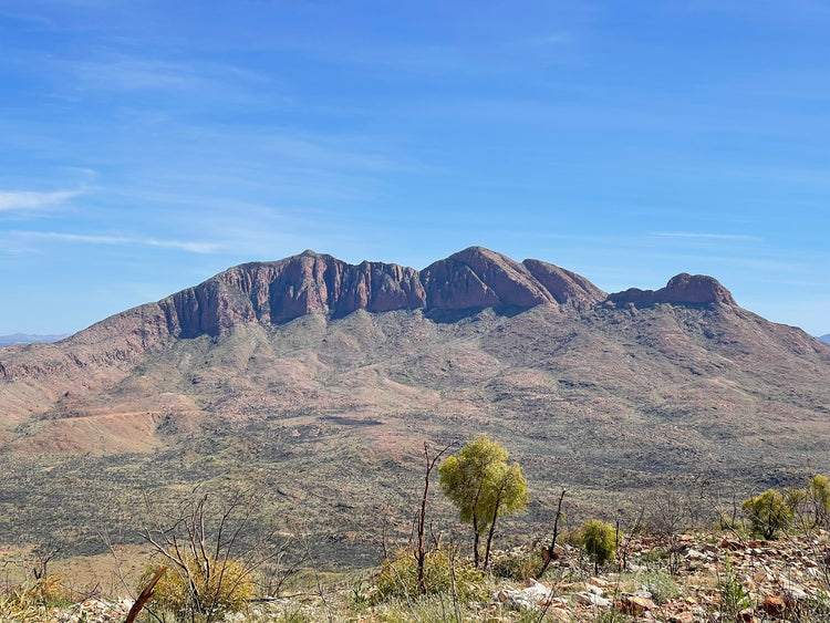 Frequently Asked Questions