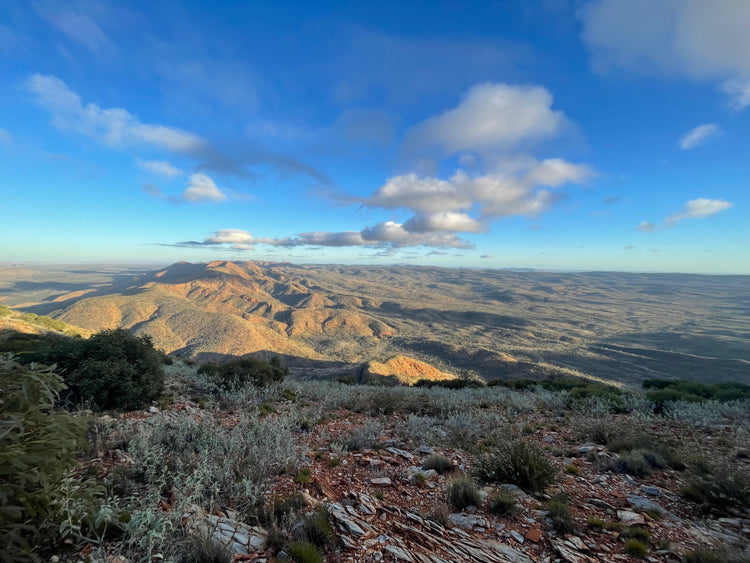 Larapinta Trail Transfers & Packages